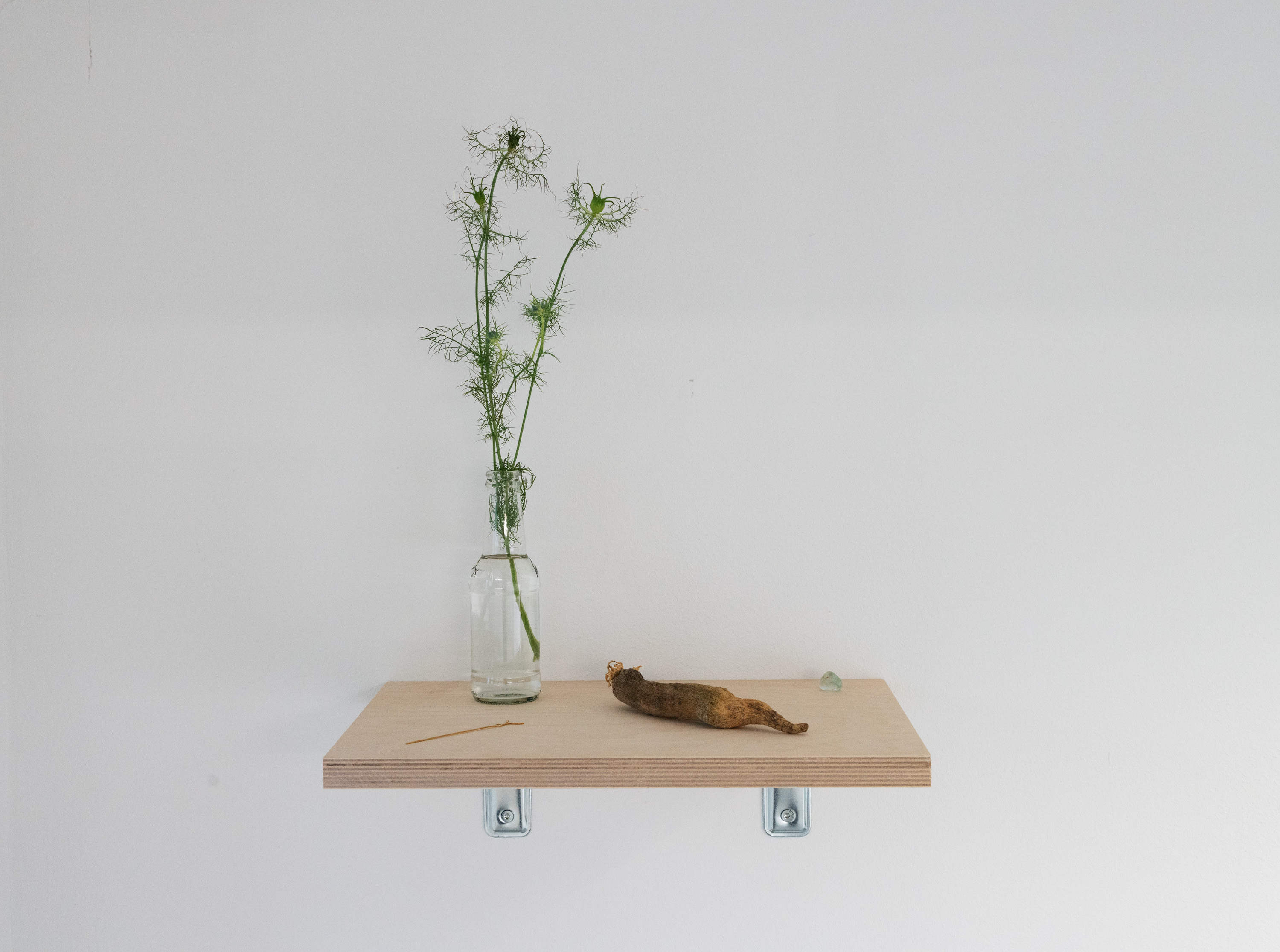 Shrine (CPH), topaz, polished brass object, fresh flower in a bottle with water and a dried up radish on plywood plate held by metal brackets, Bladr, Copenhagen, 2019